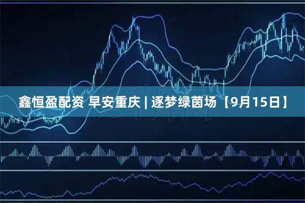 鑫恒盈配资 早安重庆 | 逐梦绿茵场【9月15日】