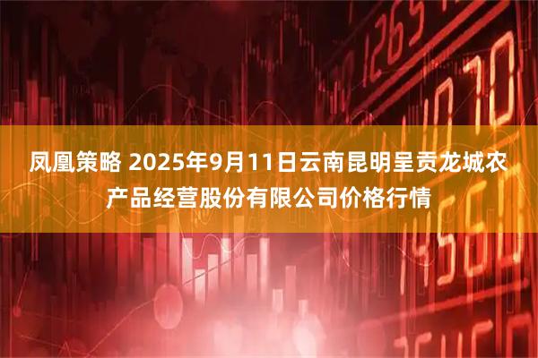 凤凰策略 2025年9月11日云南昆明呈贡龙城农产品经营股份有限公司价格行情