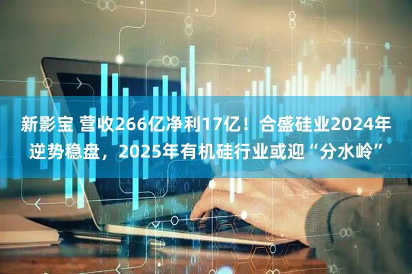 新影宝 营收266亿净利17亿！合盛硅业2024年逆势稳盘，2025年有机硅行业或迎“分水岭”