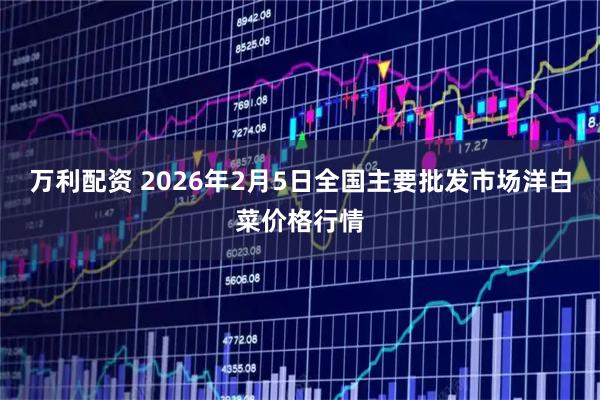 万利配资 2026年2月5日全国主要批发市场洋白菜价格行情